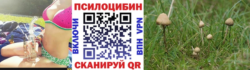Псилоцибиновые грибы мицелий  kraken зеркало  Киров 