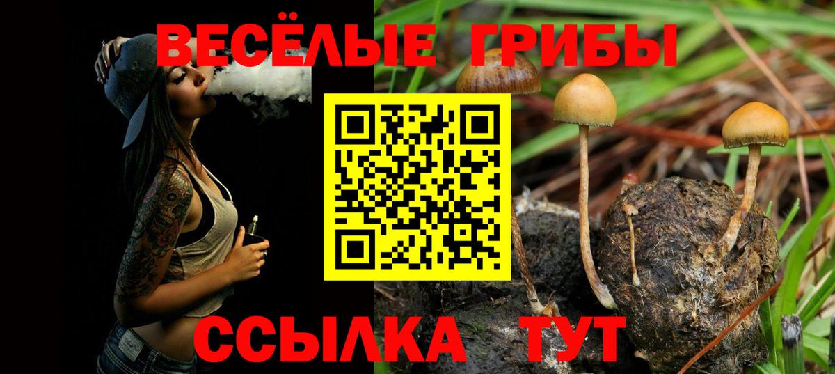 Галлюциногенные грибы Cubensis  Галлюциногенные грибы Magic Shrooms  Киров  Вход с VPN 